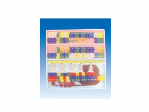 ZM6014 DNA結(jié)構(gòu)及復(fù)制