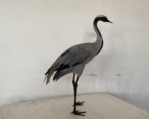 Simulated coir feather crane